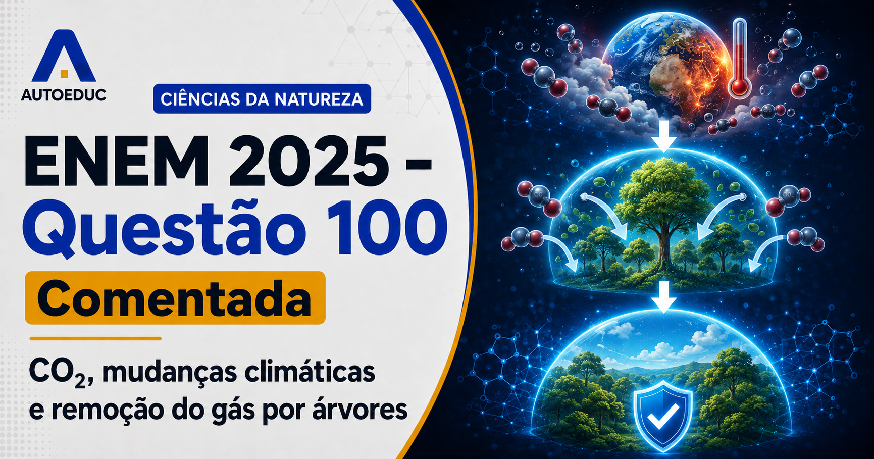 Resolução comentada da questão 100 de Biologia do ENEM 2025 sobre mudanças climáticas e ciclo do carbono, com explicação passo a passo e análise das alternativas.
