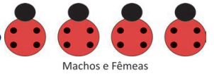 Imagem da alternativa A: Resolução comentada da questão 102 de Biologia do ENEM 2025 sobre genética — codominância, com explicação passo a passo e análise das alternativas.