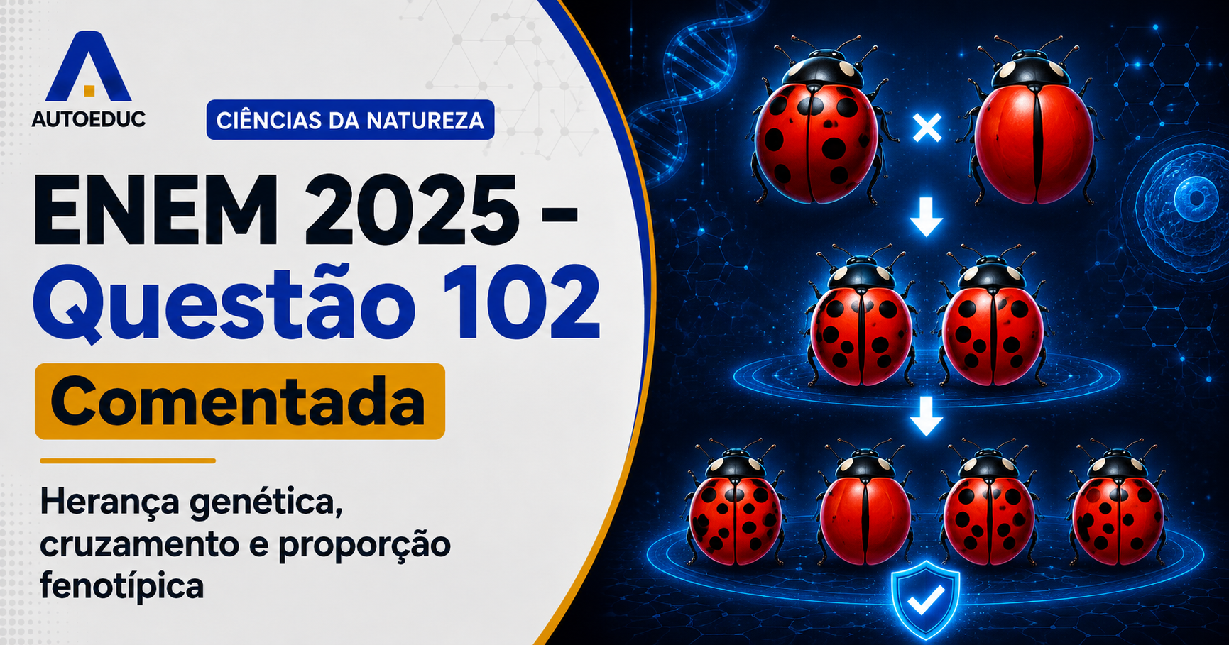 Resolução comentada da questão 102 de Biologia do ENEM 2025 sobre genética — codominância, com explicação passo a passo e análise das alternativas.