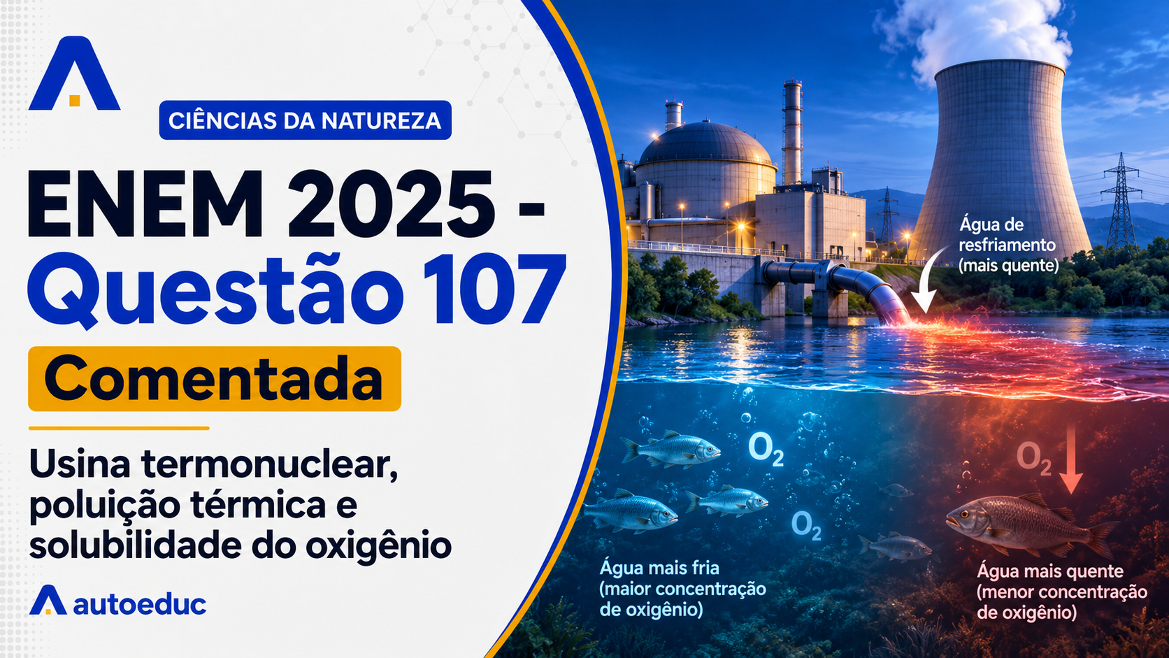 Resolução comentada da questão 107 de Biologia do ENEM 2025 sobre poluição térmica em ecossistemas aquáticos, com explicação passo a passo e análise das alternativas.