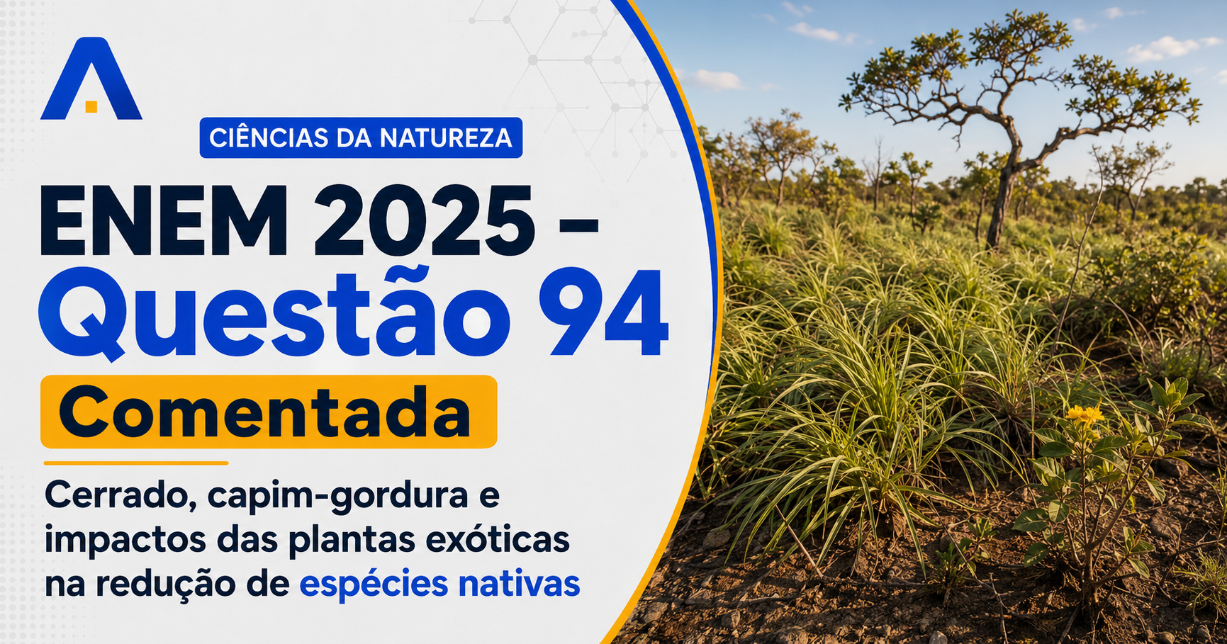 Resolução comentada da questão 94 de Biologia do ENEM 2025 sobre espécies exóticas invasoras, com explicação passo a passo e análise das alternativas.