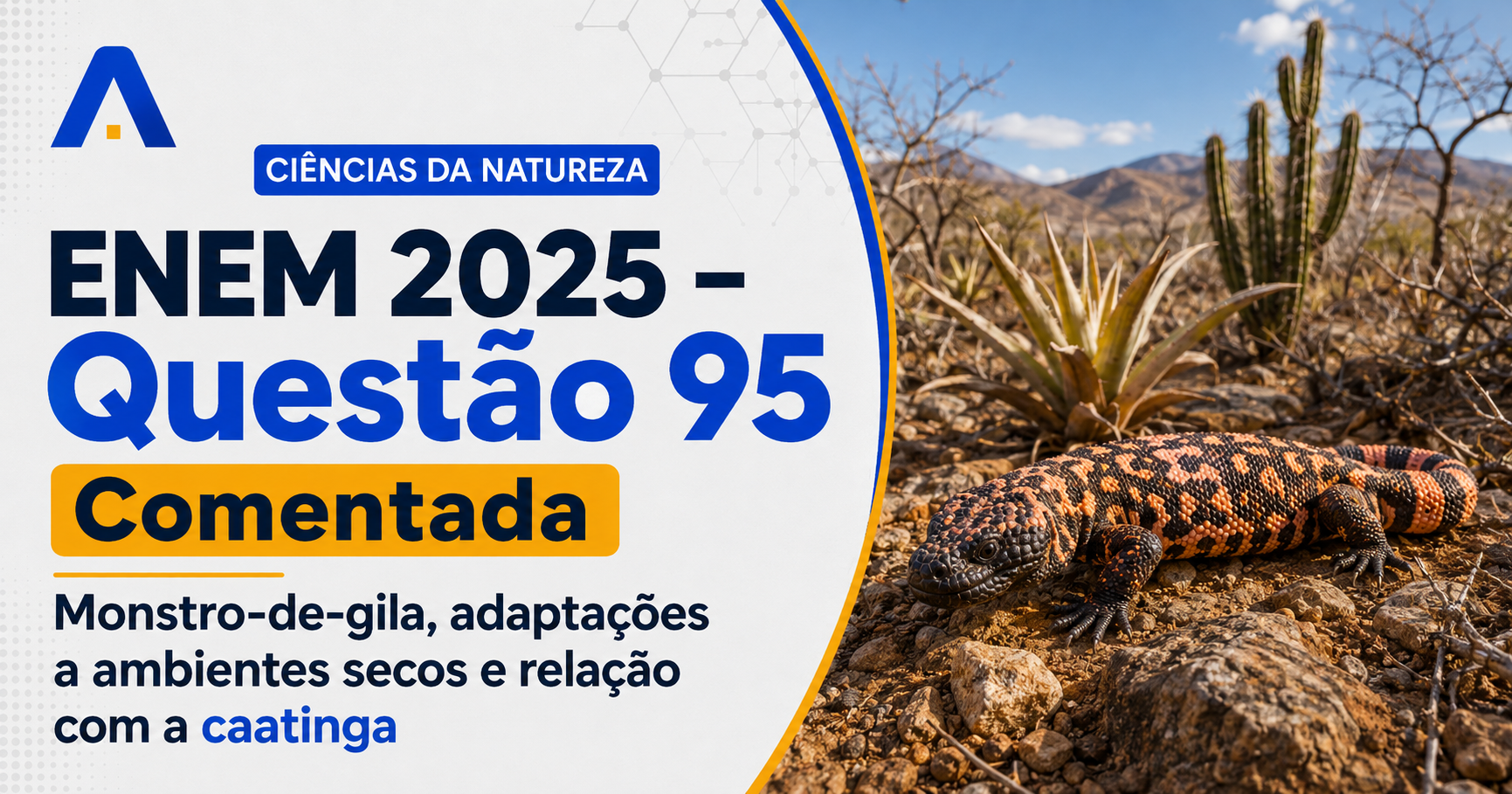 Resolução comentada da questão 95 de Biologia do ENEM 2025 sobre adaptações dos seres vivos ao ambiente, com explicação passo a passo e análise das alternativas.