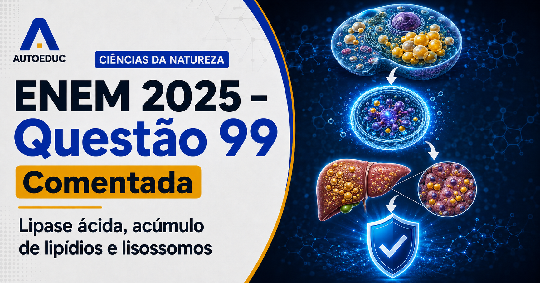 Resolução comentada da questão 99 de Biologia do ENEM 2025 sobre organelas celulares, com explicação passo a passo e análise das alternativas.